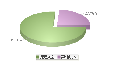900941(900941)股本结构图
