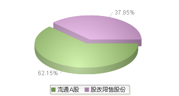 920169(920169)股本结构图