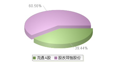 920504(920504)股本结构图