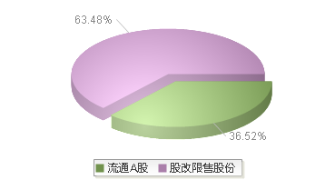 920717(920717)股本结构图
